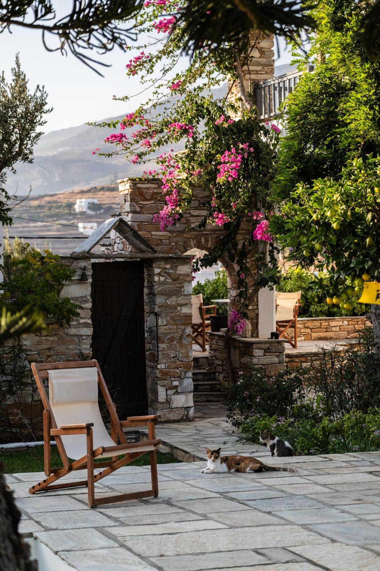 Romano Garden House - Land Tales Agios Romanos Exteriör bild